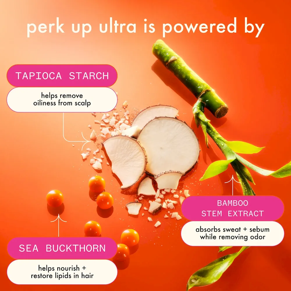 perk up ultra oil control dry shampoo - Image 4