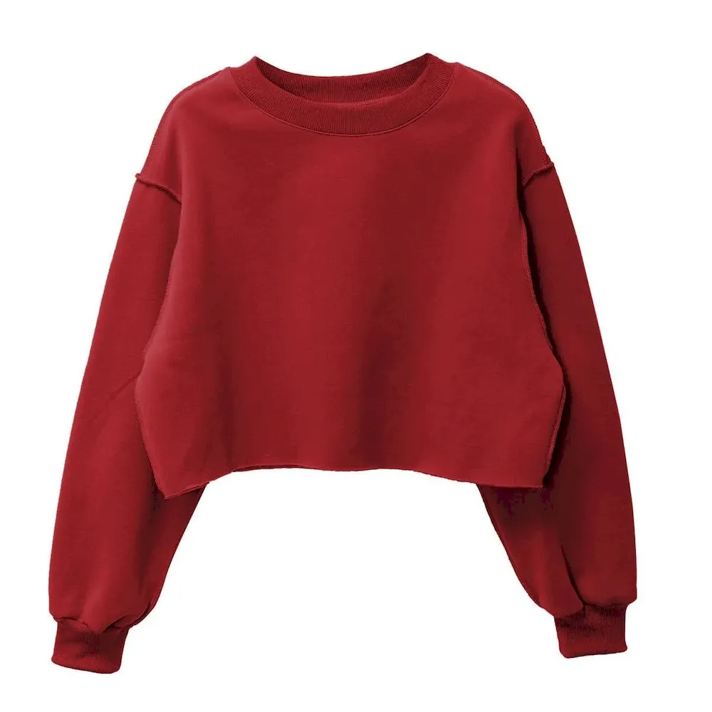 Autumn Winter Women Casual Solid Color Round Neck Long Sleeve Crop Blank Sweatshirt - Image 19